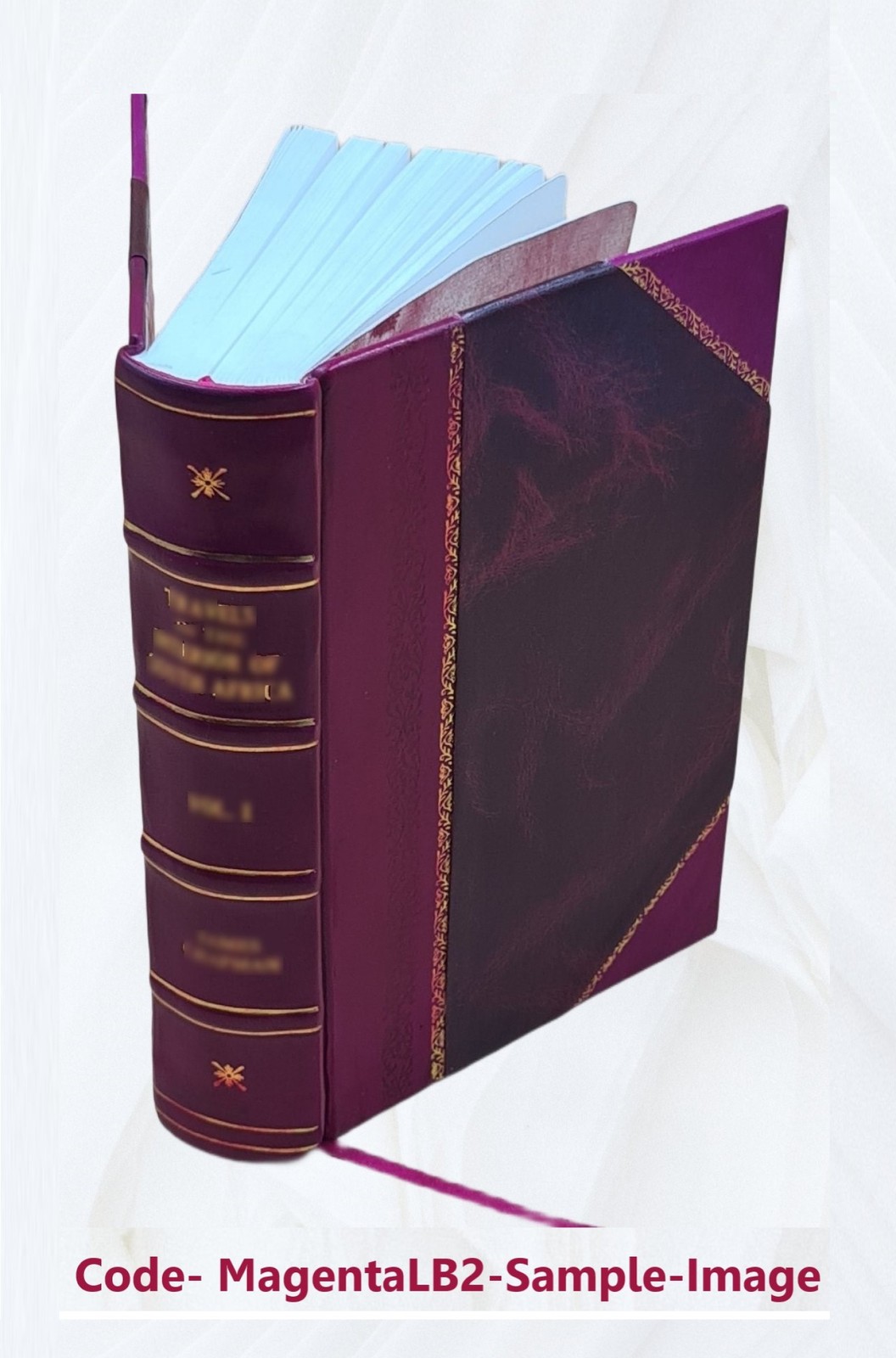 The Negro In Our History 1922 By Carter G. Woodson [Leather Bound]