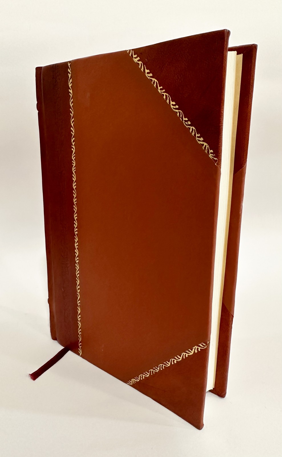 The Ferryman, by Helen Mathers [Leather Bound]